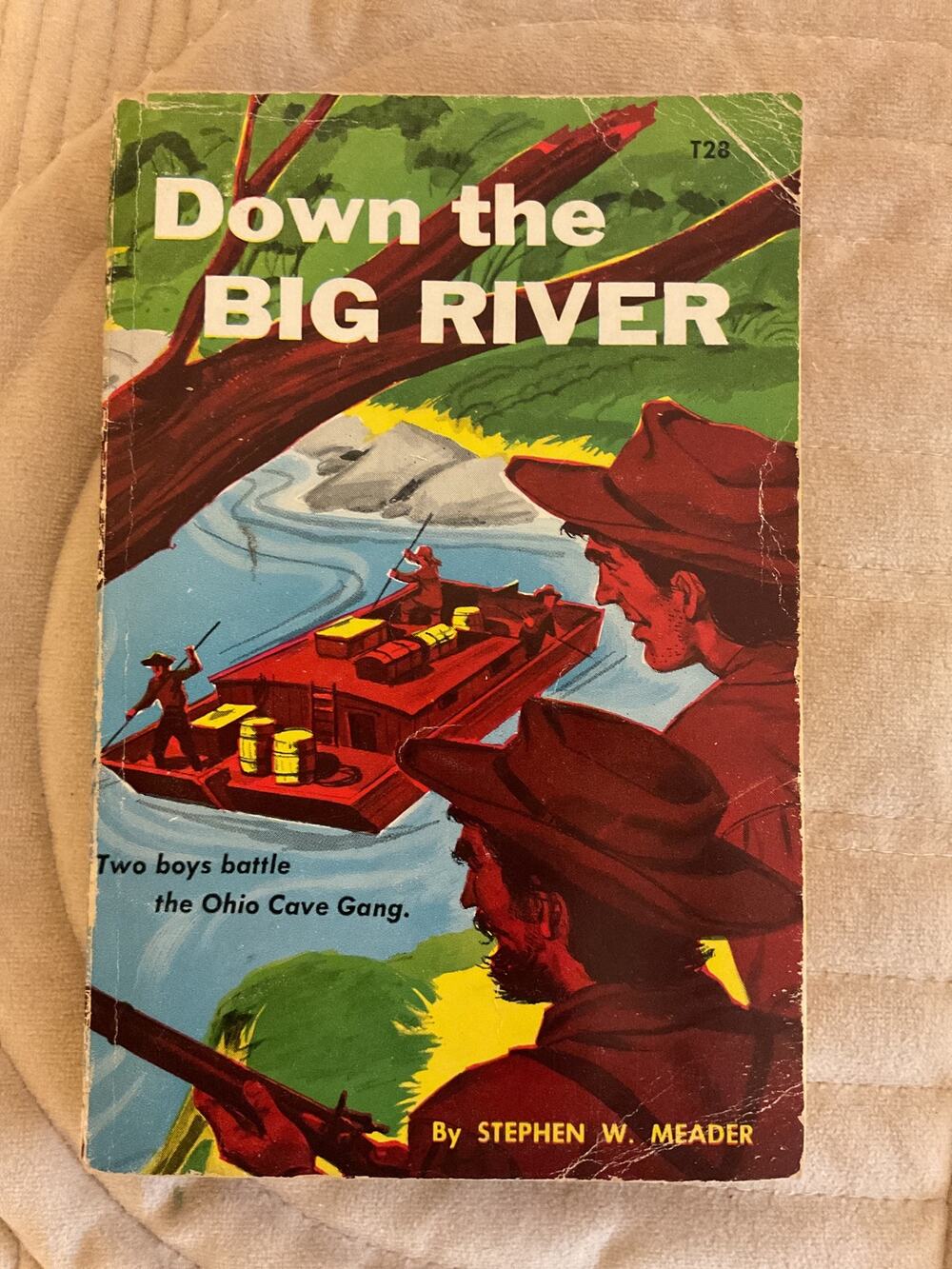 1960 Down the Big River Vintage Boys Adventure Book Stephen W. Meader